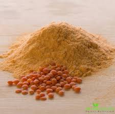Masoor Dal Powder